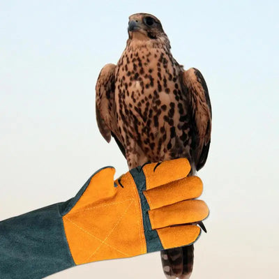Animal Handling Gloves Extreme Heat And Fire Resistant Gloves Bite Proof Animal Gloves For Cat Dog Bird Pet Trapping Supplies