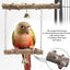 Pepper Wood Parrot Stand Pole Double Layer Toy for Bird Tiger Skin Claw Grinding Beak Grinding Stand Pole Bird Cage Accessories