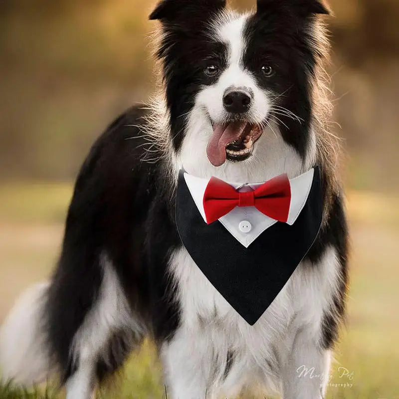 Dog Wedding Bandana Collar Dog Collar Bow Tie Breathable Dog Tuxedo Adjustable Neck Scarf for Weddings Parties Birthdays