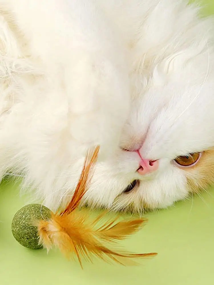 Catnip Ball Feather Cat Toy Ball Feather Cat Tooth Cleaning Cat Toy Catnip Ball Interactive Chew Catnip Pet Supplies