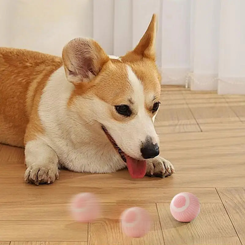 Interactive Ball For Dogs Electric Dog Toys Automatic Rolling Motion Activated Dog Balls 2 Modes Moving Dog Products Active