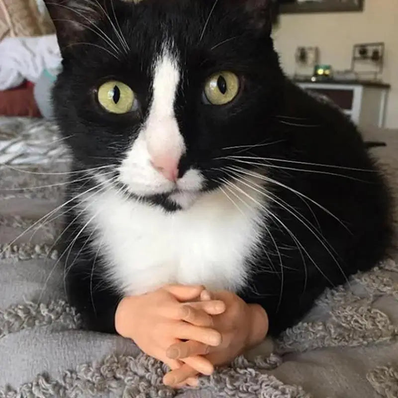 Mini Hand Toy 10 Pairs Tiny Toys Finger Funny Shape Mini Finger Puppets For Taking Photos Massaging Cats Cat Cosplay