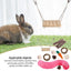 11Pcs Combination Hamsters Rabbit Toys Tunnel Set Toy Hamster Toys Set Pet Rabbit Guinea Pig Parrot Play Molar Wooden Supplies