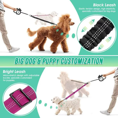 16ft Long Dual Dog Leash Attachment - Double Leashes for Training Small to Large Dogs - Adjustable Strap, Shock Absorbing Bungee