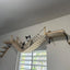 Cat Wall Shelves 100CM Long Cat Bridge for Indoor Cats Climber Cloud Shelf Kitty Bed and Perches Wooden Cat Wall Furniture