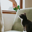 Catnip For Cat Toys Catnip Filled Cartoon Cat Teething Chew Toy Natural Catnip And Silvervine Cat Feather Kicker Toys For Indoor