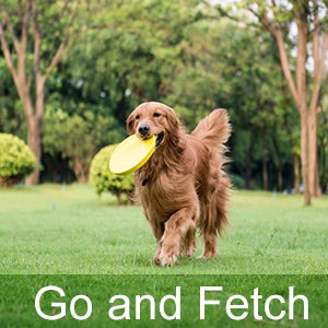 Ultrasonic Dog Whistle for Dogs Animals Stop Barking Recall Training Pet Accessories Professional Silent Dog Whistle