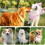 Squeaky Dog Toys Latex Dog Chew Toy Animal Bowling Shape Interactive Squeaky Puppy Toys For Pet Dog Training Playing Chewing