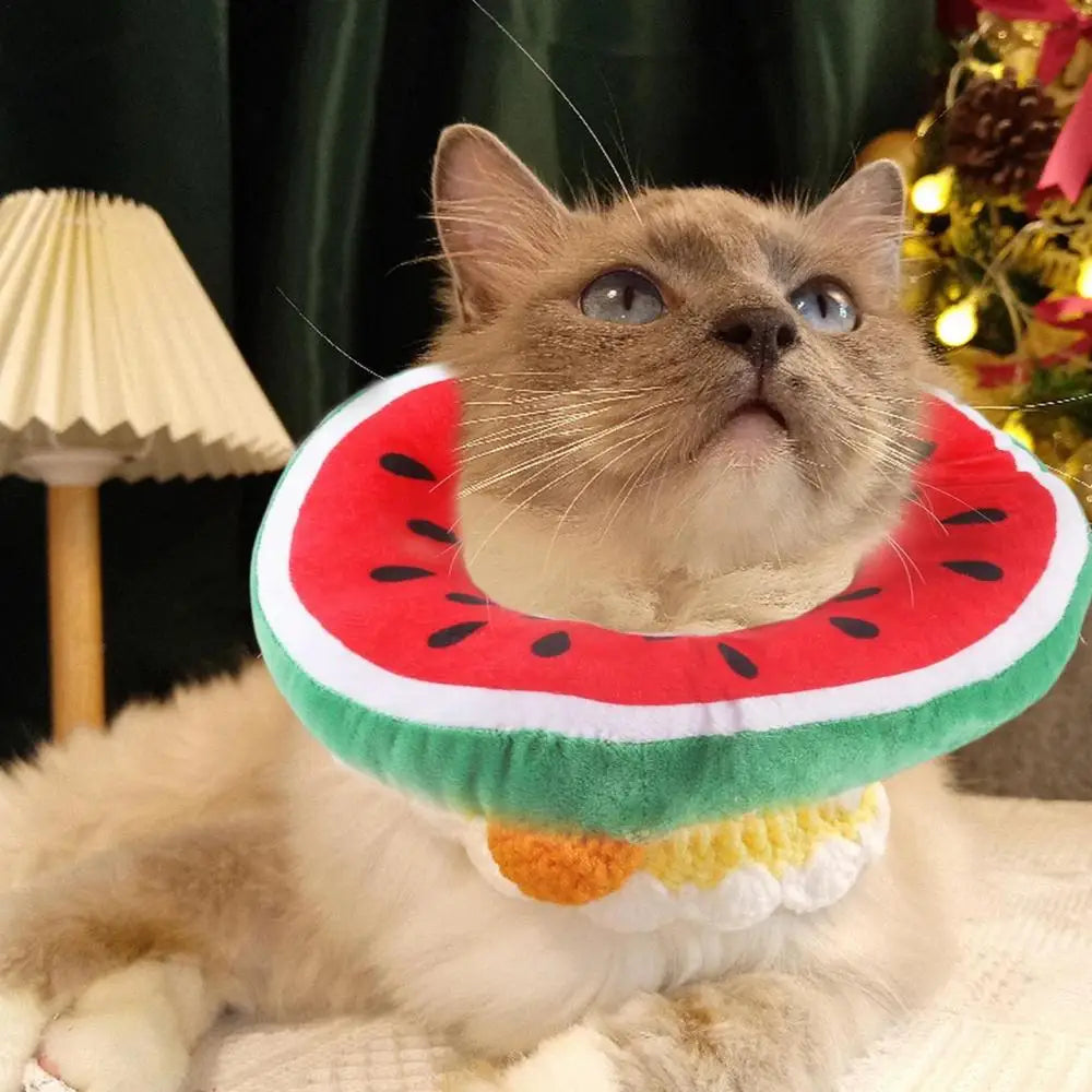 Cat Recovery Collar Protective Cute Collar After Surgeries Soft Adjustable Elizabethan Collars For Kitten Small Dogs