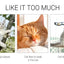 Foldable Cat Window Perch Bed Hammock Cat Window Wall Perch Hammock Seat with 4 Strong Suction Cups