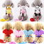 Cute Angel Pet Puppy Dog Leashes And Collars Set Cat  Harness 3D Wings Adjustable for Small Medium Dogs Outdoor Walking Supplies