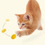 6pcs Pet Toys Balls Natural Silk Cocoon Toys For Cats Pet Cat Interactive Chasing Worm Cocoon Ball Toys Interactive Kitten Toys