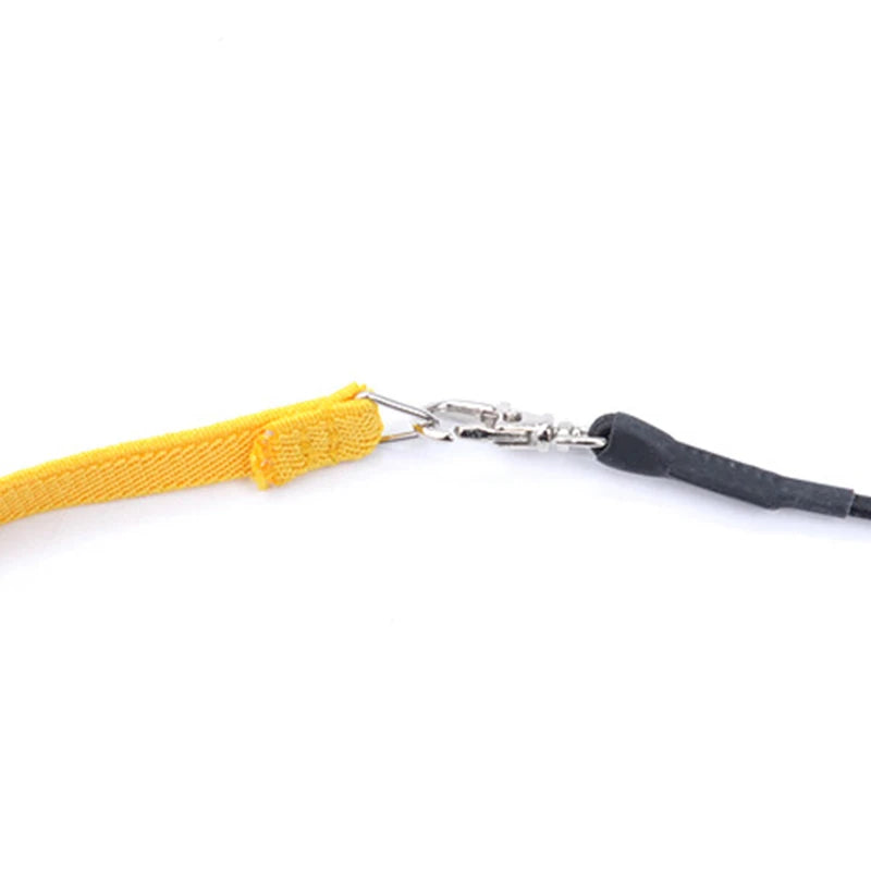 Parrot Flying Harness Leash Suit Pet Bird Outdoor Flight Training Rope Cockatiel Supplies Macaw Accessories  Stuff For Budgie