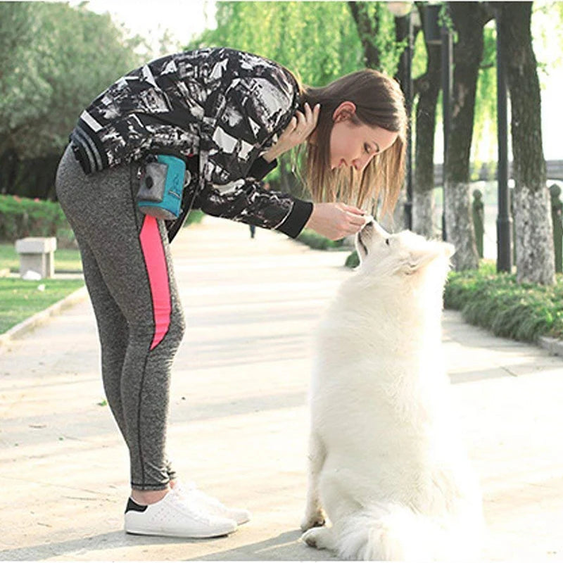 Outdoor Dog Trainings Bag Durable Poly 8 Colors Treat Bag  Dog Walking Snack Pouch Detachable Puppy TrainSnack Reward Waist Bag