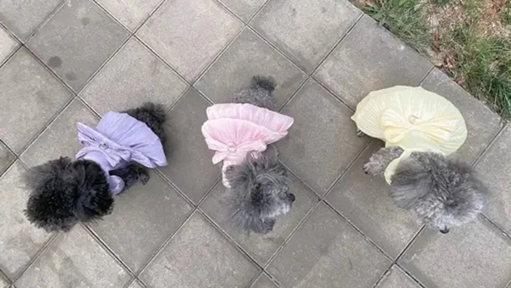 Big Bow Pet Wedding Dress with Buckle Luxury Dog Full Dresses for Small Dogs Pomeranian Poodle Puppy Cat Skirt mascotas Clothes