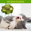 Natural Matatabi Cat Snacks Sticks Catnip Pet Cat Toys Actinidia Polygama Molar Toothpaste Stick Cleaning Teeth