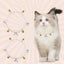 Pearl Dog Collar Pearl Collar For Dogs Pearl Cat Collar Dog Jewelry For Small Dogs Puppy Necklace Adjustable Elegant For Small
