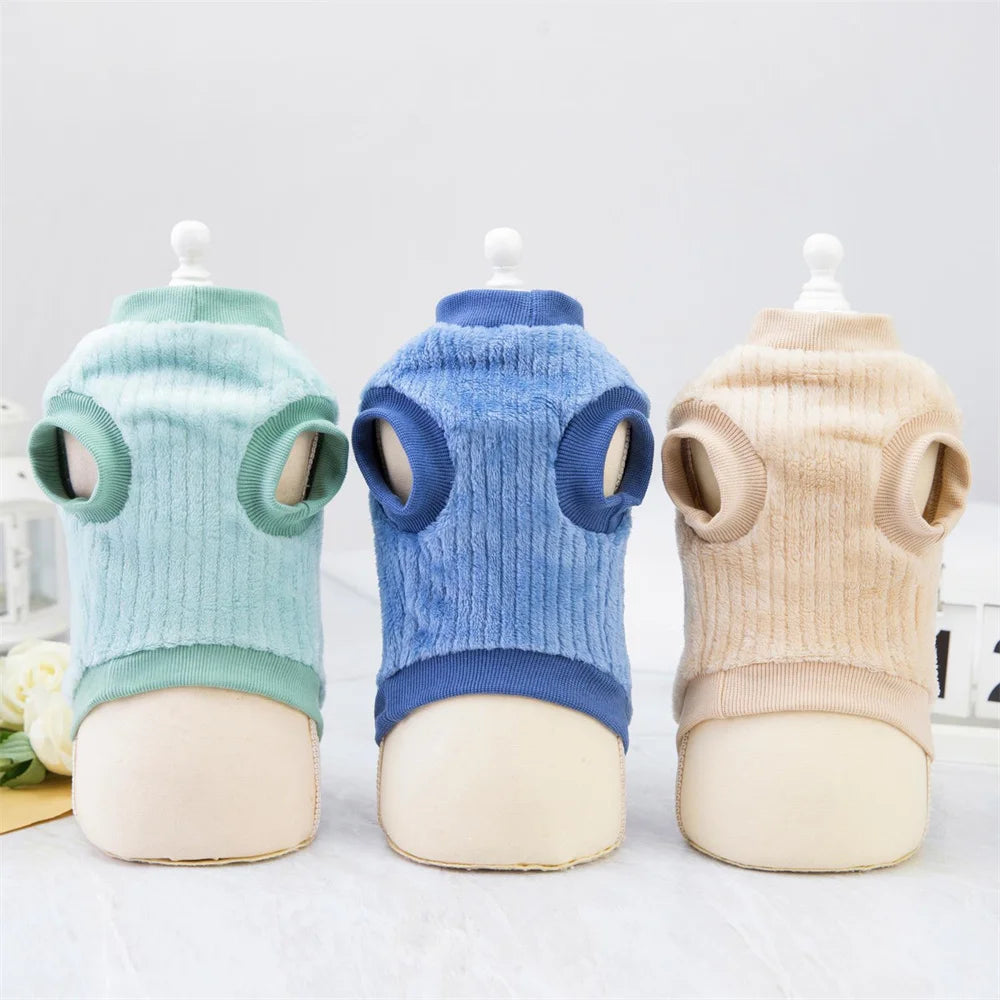 Autumn Winter Sphynx Cat Clothes Korean Pet Sweater for Cats Gotas Katten Kedi Pullovers Dog Hoodie mascotas Costume Clothing
