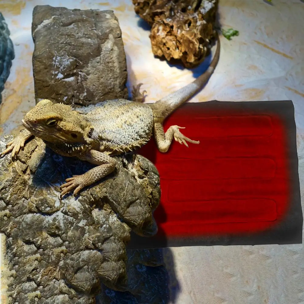 Lizard Heating Pad USB Plug In Pet Heating Pad Waterproof Foldable Heated Cushion Low Consumption Pet Warming Mat For Lizard