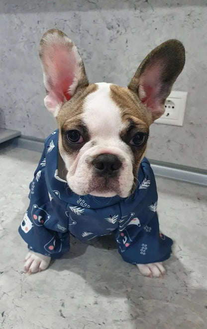Xs Dog Clothes for Small Dogs Girl Puppy Clothing for Small Dogs Boy Cat Jacket Personalise Pet Shirts for Pug Chihuahua Bulldog