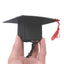 Pet Doctor Hat Pet Graduation Costume Hat Dog Graduation Hats With Red Tassel Hamster Graduation Costume Hat For Dogs Cats