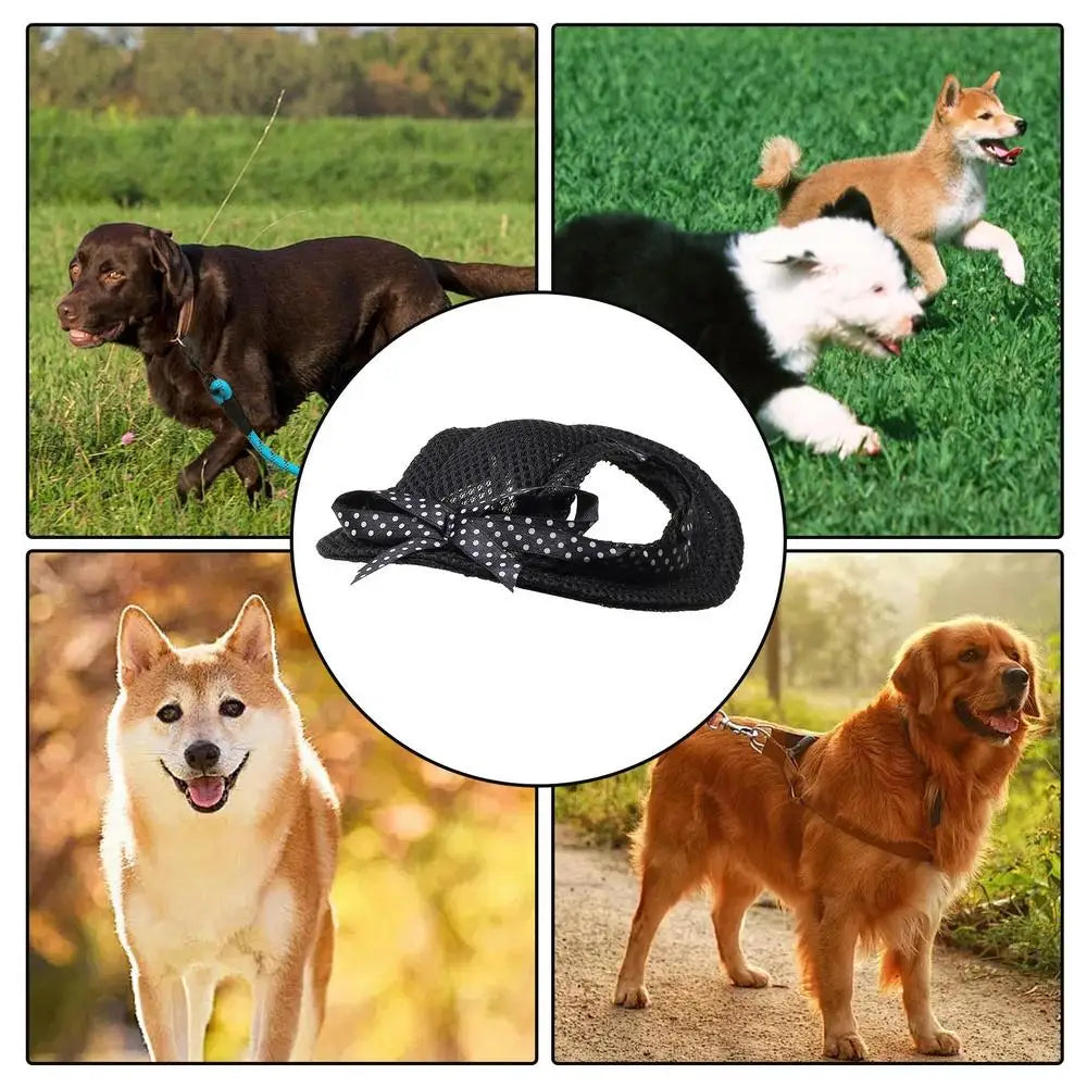 Dog Sun Hat Dog Baseball Caps For Sun Protection Adjustable Dog Beach Hat Summer Puppy Hat For Small Medium Large Dogs Kitten