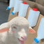 Baby Goat Bottle Lamb Bottle Animal feeding supplies Hangable Milk Feeder Veterinary hanging milk bottle with Clear Scale