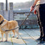 No Pull Leather Dog Leash Durable Cowhide Braided Dog Leash Buffer Spring Design for Training Walking Large and Medium Dogs Pets