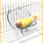 Bird Bath for Cage Parrot Bathing Tub Bird Cage Bath Bird Bathtub Pool Convenient Thick Sturdy for Cockatiel Parrots Small Birds