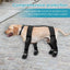 Dog Suspender Boots Waterproof Paw Protectors Soft Puppy Boots Non-slip Dog Winter Shoes Adjustable Booties for Dogs Paws