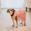 Dog Dresses Puppy Wedding Dress Female Dogs Wedding Costume Girl Dogs Rose Dress for Doggy Teddy Chihuahua Pet Princess Clothing