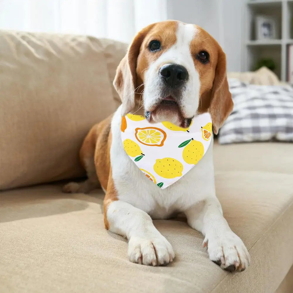 Fruit Dog Bandana Triangle Scarfs Bibs with Cute Fruit Pattern Cartoon Dog Triangle Bib Fruit Print Pet Neckerchief for Pet Dog