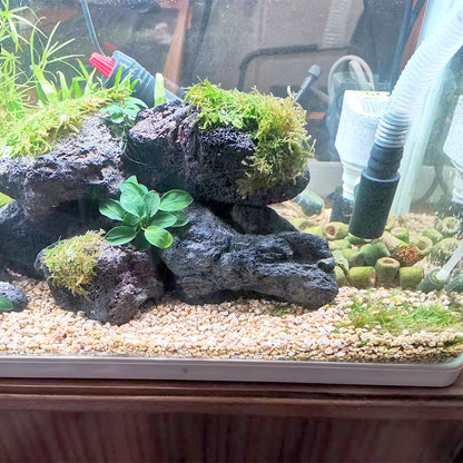 1pcs Natural Aquarium Decor Lava Stone Rockery Landscaping Fish Tank Microporous Volcanic Stone Porous Good for Plants Growth