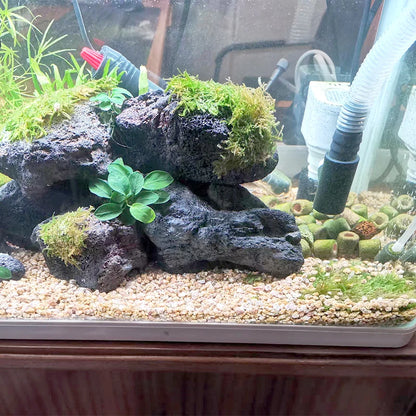 1pcs Natural Aquarium Decor Lava Stone Rockery Landscaping Fish Tank Microporous Volcanic Stone Porous Good for Plants Growth