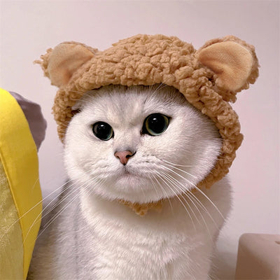 Cute Bear Shaped Hat for Cat Christmas Protective Pet Dogs Cosplay Head Wear York Solid Color Winter Kitten Costume Accessories