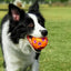 Pet Sound Toys Dog Toy Ball Rubber Hollowed Star Shape Squeaky Balls for Dogs Portable Bite Resistant Training Playing Supplies