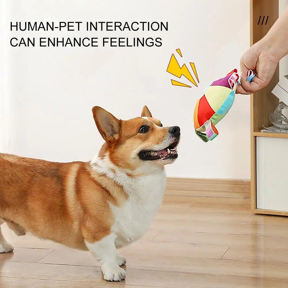 Plush Squeaky Dog Toys Interactive Chewing Squeaky Toy for Puppy Squeaky Dog Chew Toy Disc Shape Plush Dog Toys for Puppies