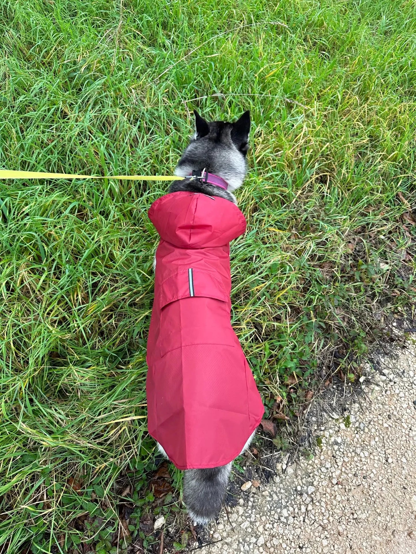Big dog raincoat reflective waterproof windproof hooded raincoat large dog clothing outdoor raincoat  dog clothing jacket