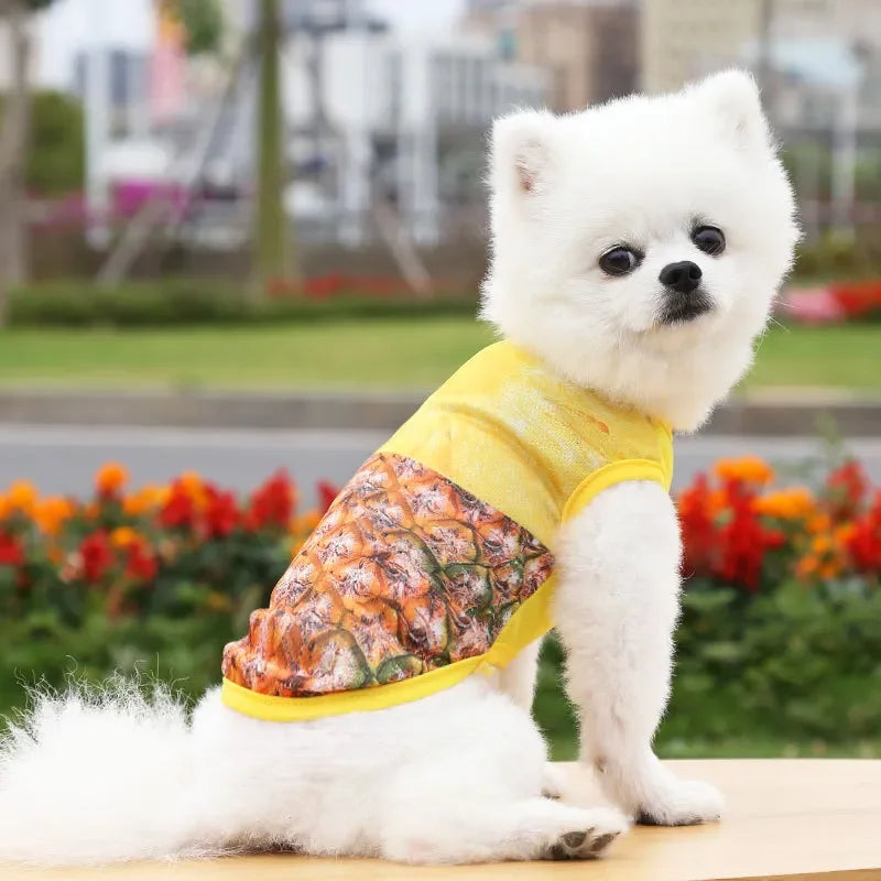 Breathable Pet Dog Clothes Summer Dog Vest For Small Dog Cute Camouflage Vest Spring and Summer Tshirt Bulldog Apparel Chihuahua