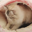 Autumn and Winter soft plush pet bed and pet bed Winter warm and cold plush comforter nest Shell cat nest semi-enclosed cat nest
