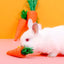Natural Paper Rope Rabbit Puzzle Toy Grass Weaving Radish Carrot Shape Pet Accessories Guinea Pig Chinchillas Small Animals Toys