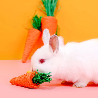 Natural Paper Rope Rabbit Puzzle Toy Grass Weaving Radish Carrot Shape Pet Accessories Guinea Pig Chinchillas Small Animals Toys