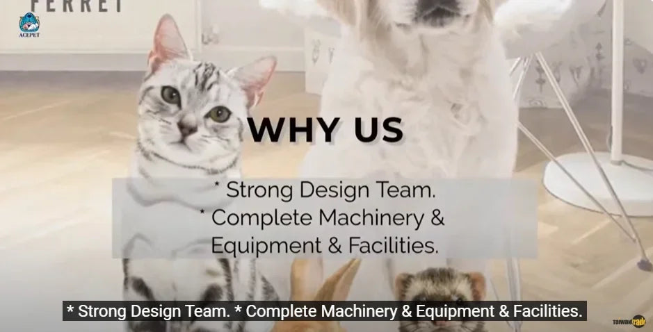 677-A Small Pet Display Resort Plastic Cage For Cat Puppy Rabbit Chinchilla And Guinea Pig