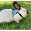 Mutil-Colors Breathable Stylish Vest Small Pet Carrier Bag Adjustable Soft Harness  And Elastic Leash Set For Rabbits