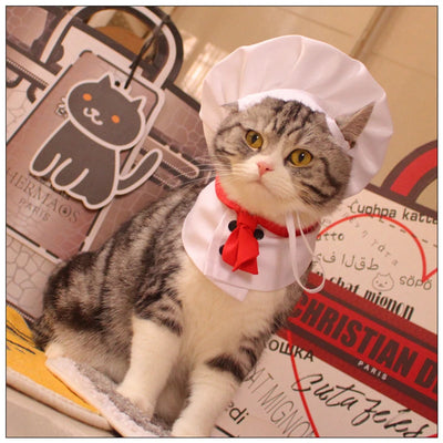 Halloween Chef Suit Pet Dog Clothes French Bulldog Cosplay New Year Pet Accessories Cute Gift Medium Costume Puppy Hat Collar