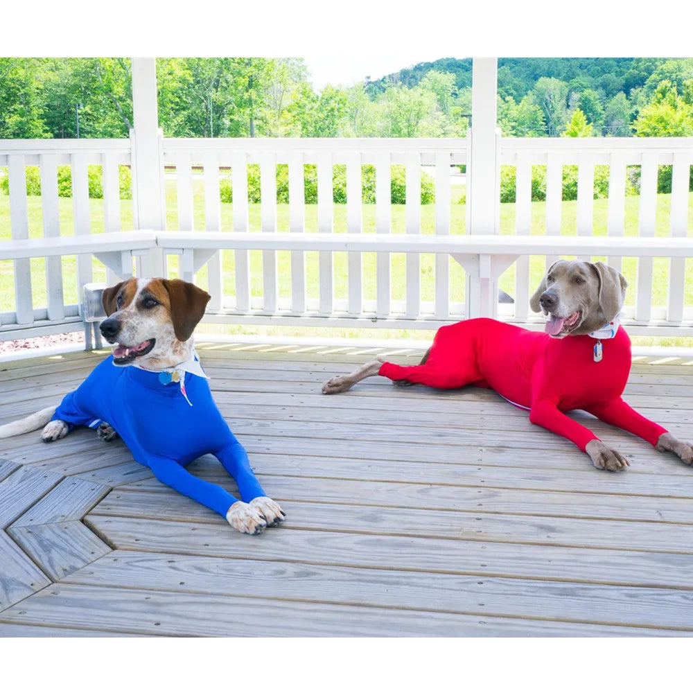 Four Feet Lightweight Pajamas Pure Dog Jumpsuits Tight Dog Coat Nursing Clothes Bodysuit For Small Medium Large Dogs Pet Costume