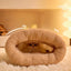 Cats Bed Kitten Puppy Houses Accessories Things Cushions Beds House Dog Accessory All Pet Products Supplies Goods Basket Mat Cat