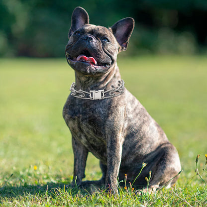 Pinch Collar for Dogs Adjustable Training Dog Collar Prong Collar with Quick Release Buckle for Medium Large Dogs,No Pull Collar