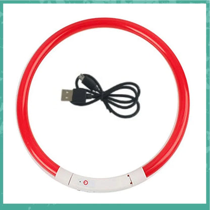 Led Usb Dog Collar Pet Dog Night Luminous Charge Collar Led Night Safety Flashing Glow Dog Loss Prevention Collar Pet Accessorie
