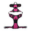 Pet Dog Harness Reflective Adjustable Breathable Vest Chest Strap for Small Medium Big Dogs Cats Collar Harness Dog Accessoires